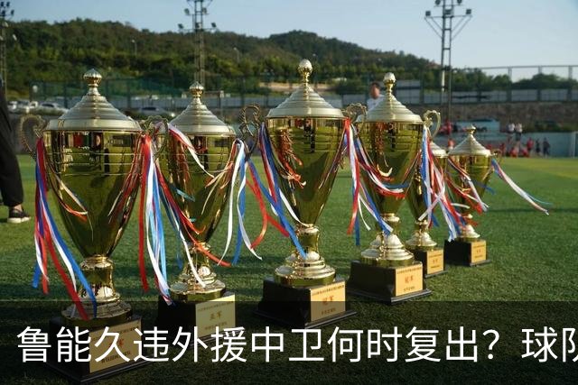 鲁能久违外援中卫何时复出？球队没有他坐镇后防真不行，引发热议